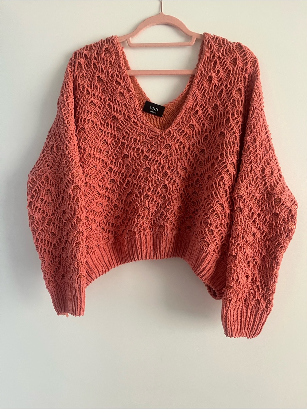 VICI Coral Open-Knit V-Neck Pullover